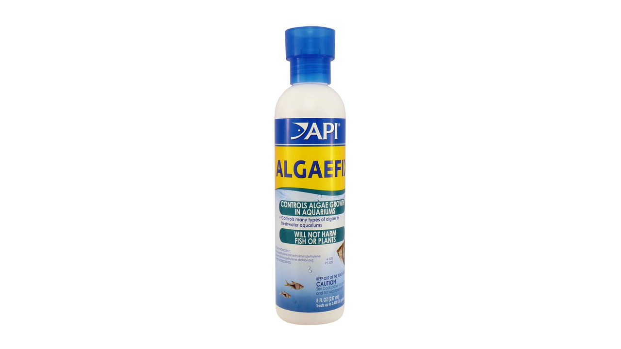 API Algae Fix