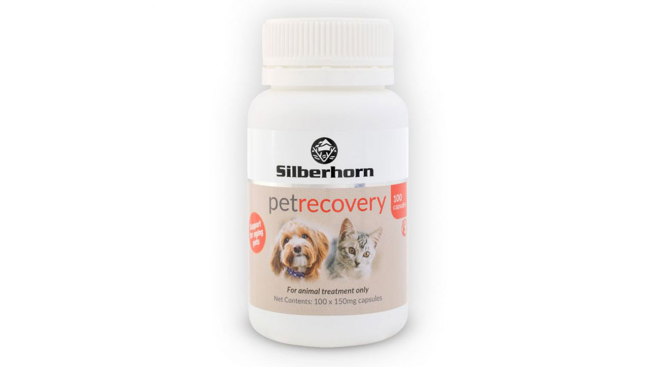 Silberhorn PetRecovery Glucosamine