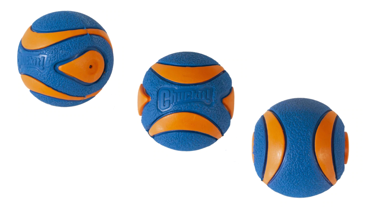 Chuckit Ultra Squaker Ball 1pk