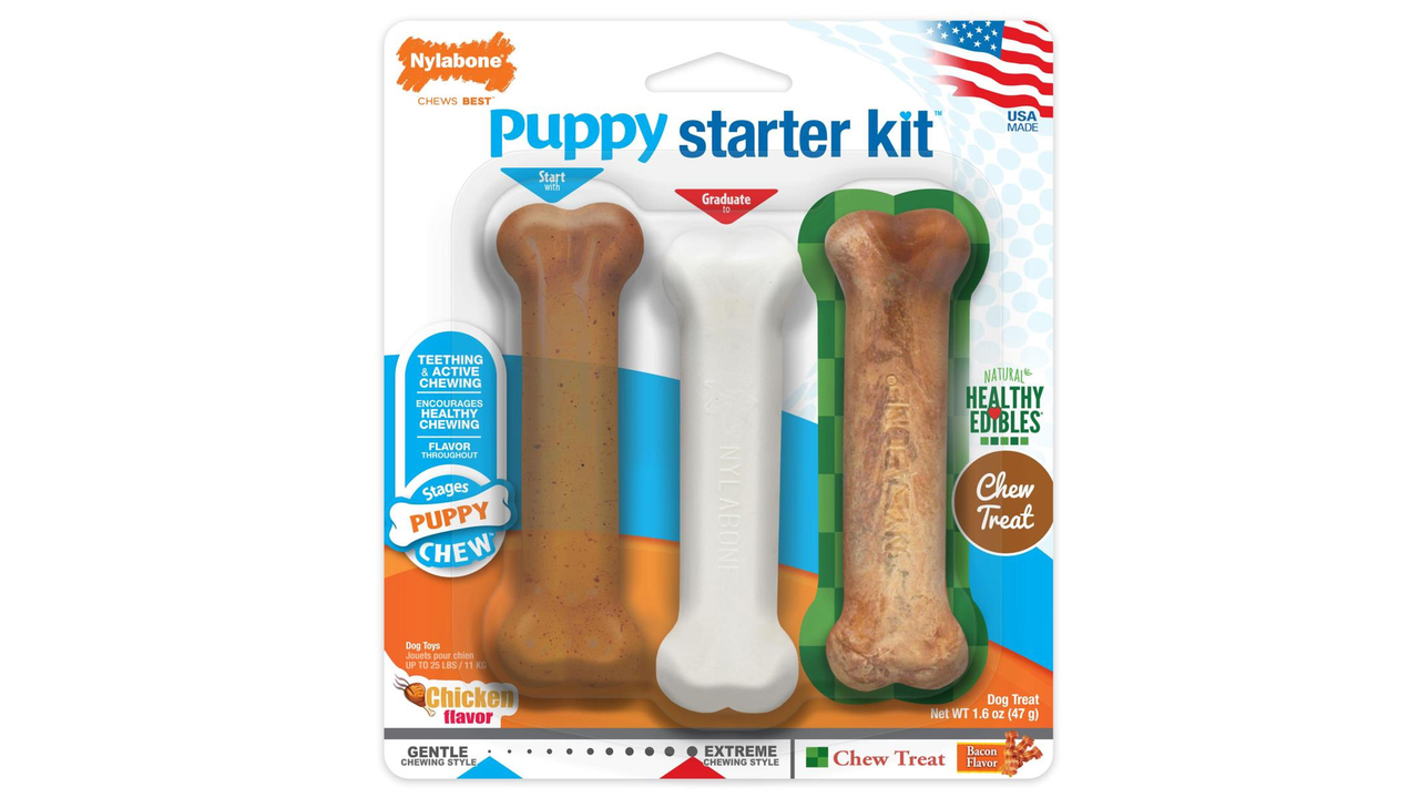 Nylabone Puppy Starter Kit