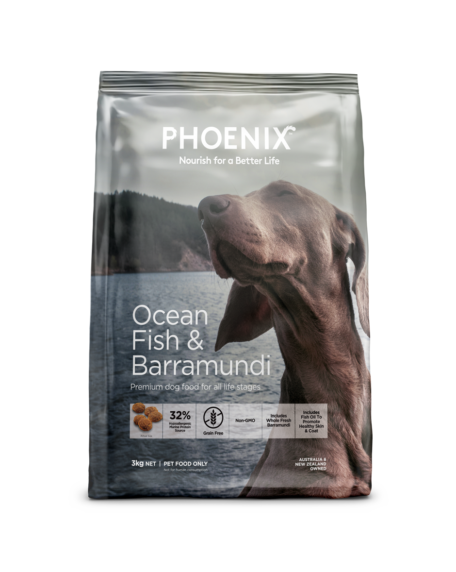 Phoenix Ocean Fish & Barramundi Adult Dog Food