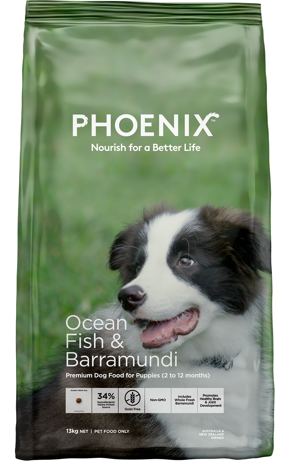 Phoenix Ocean Fish & Barramundi Puppy Food