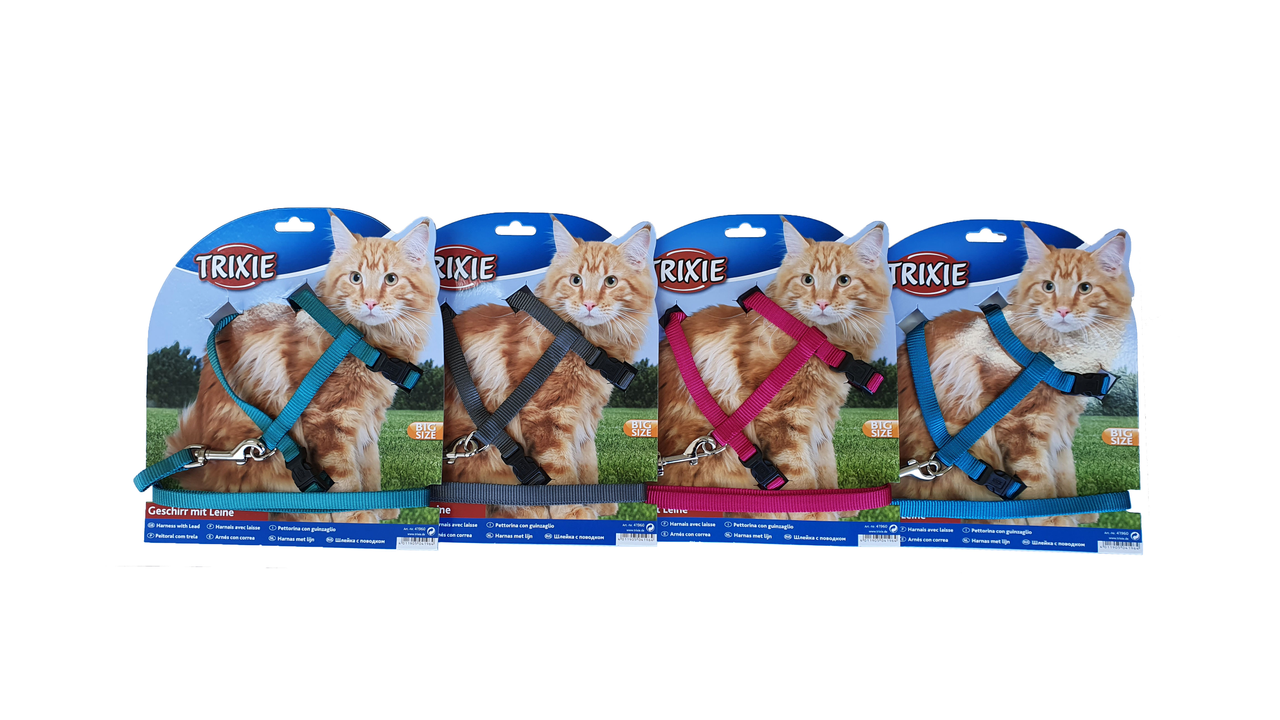 Cat Harness & Lead - Big Cat