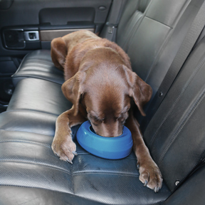 Splash Free Bowl