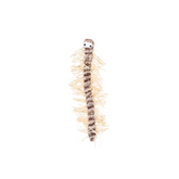 Centipede