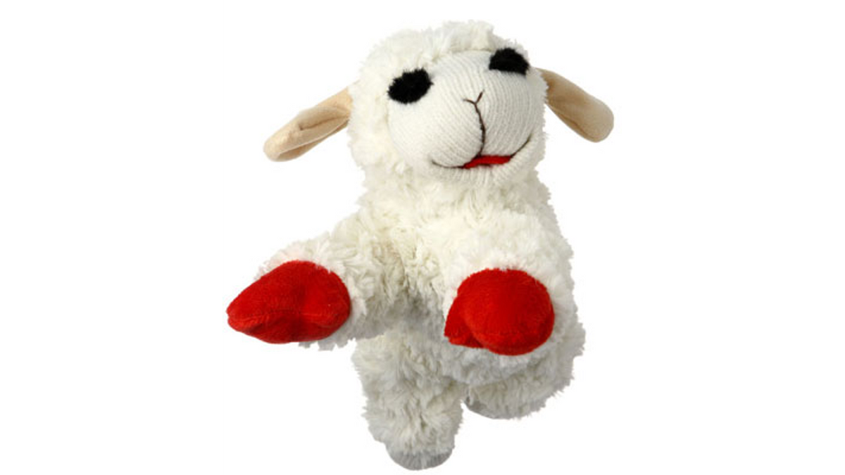 Lamb Chop