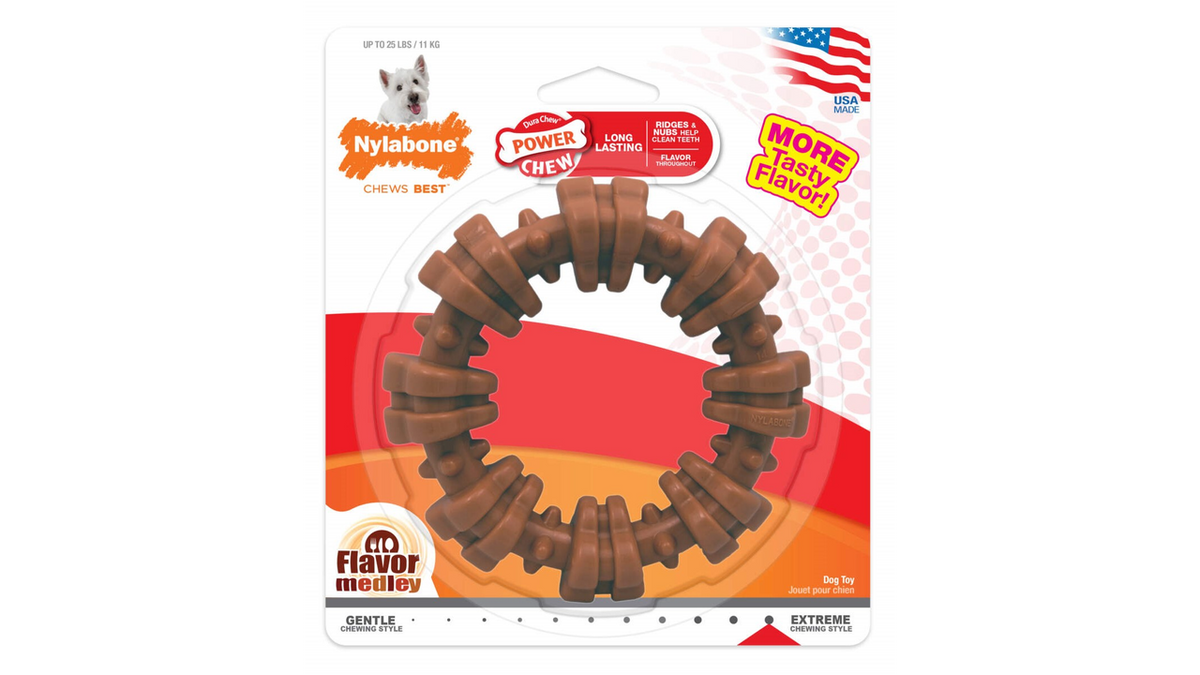 Nylabone Textured Chew Ring