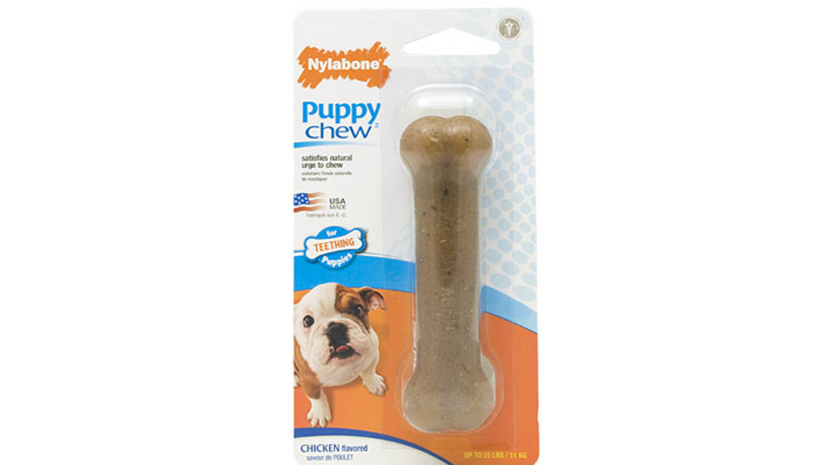 Nylabone Puppy Bone