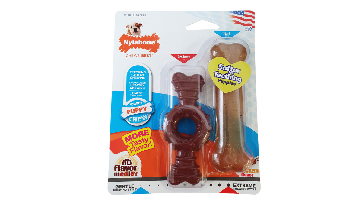 Nylabone Puppy Twin Pack Petite