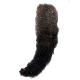 Possum Tails