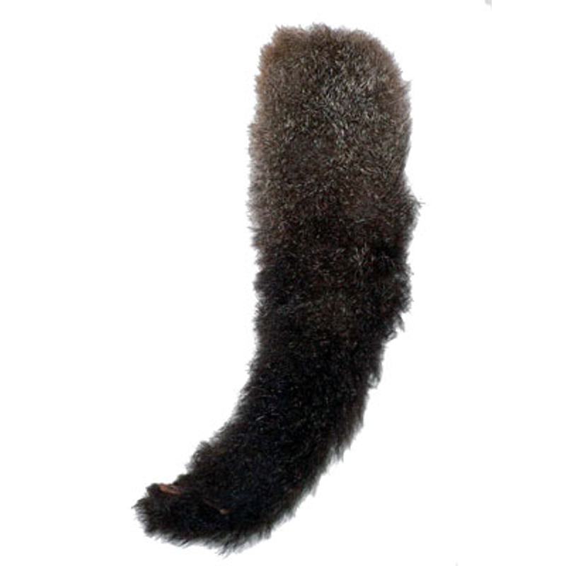 Possum Tails