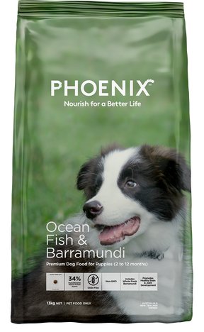 Phoenix Ocean Fish & Barramundi Puppy Food