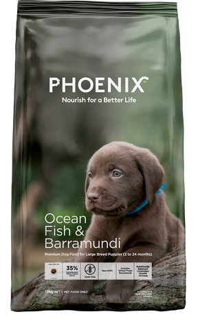 Phoenix Ocean Fish & Barramundi Large Breed Puppy Food