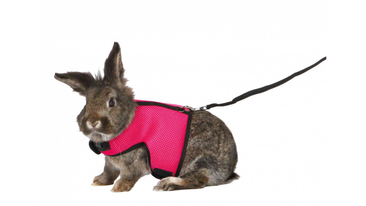 Soft Harness - Rabbit Large