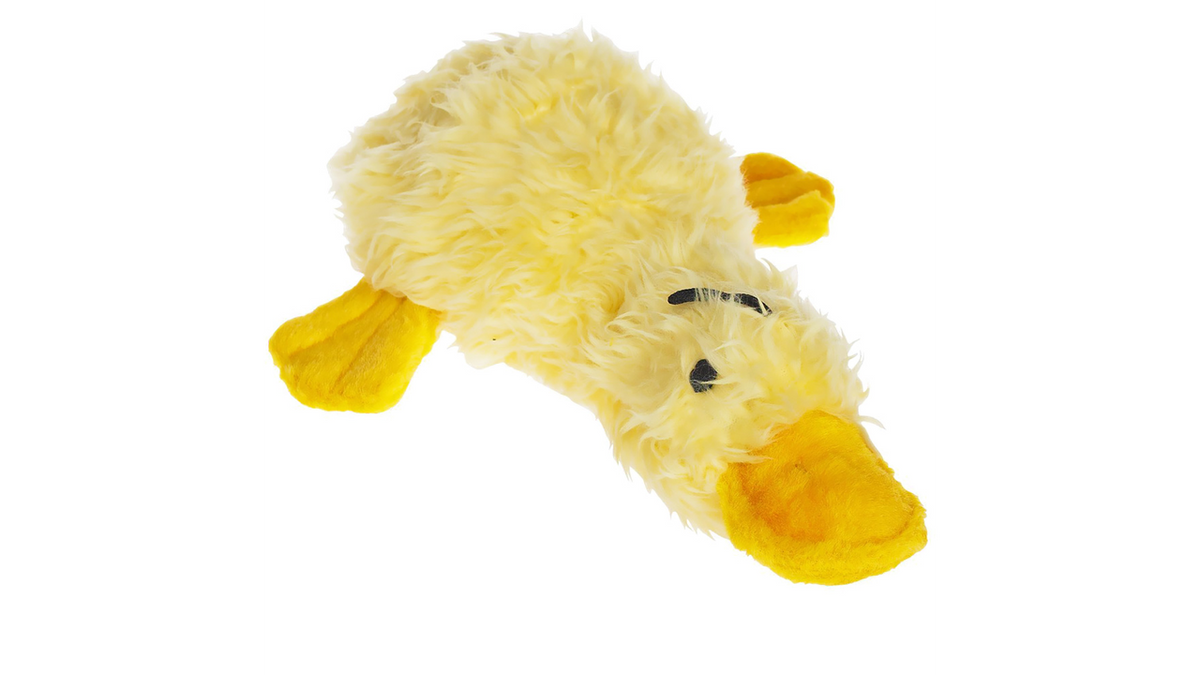 Duckworth